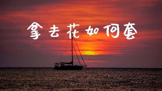拿去花如何套_https://wap.lcpcjs.com_股港行情_第1张