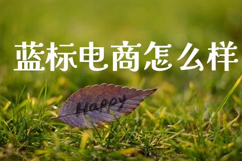 蓝标电商怎么样_https://wap.lcpcjs.com_外汇市场_第1张