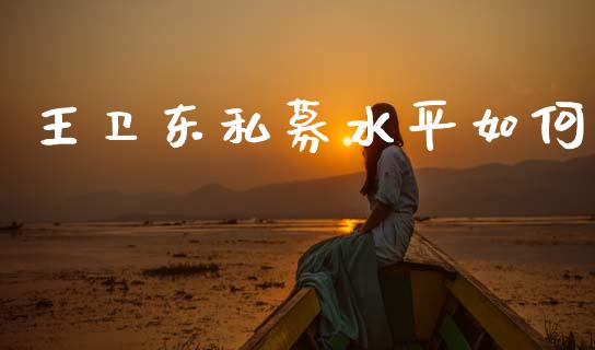 王卫东私募水平如何_https://wap.lcpcjs.com_外汇市场_第1张