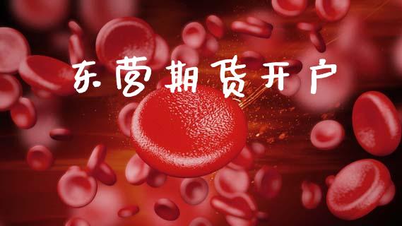东营期货开户_https://wap.lcpcjs.com_美股行情_第1张