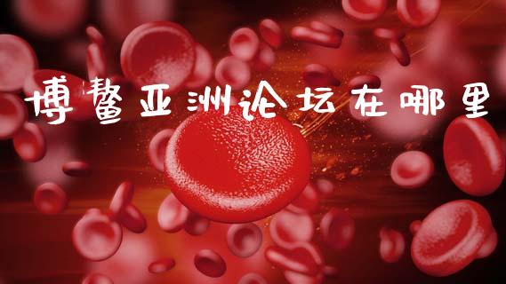 博鳌亚洲论坛在哪里_https://wap.lcpcjs.com_股港行情_第1张