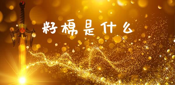 籽棉是什么_https://wap.lcpcjs.com_股港行情_第1张