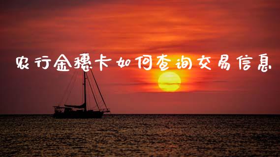 农行金穗卡如何查询交易信息_https://wap.lcpcjs.com_美股行情_第1张