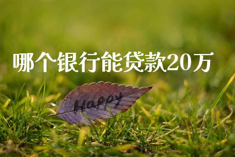 哪个银行能贷款20万_https://wap.lcpcjs.com_美股行情_第1张
