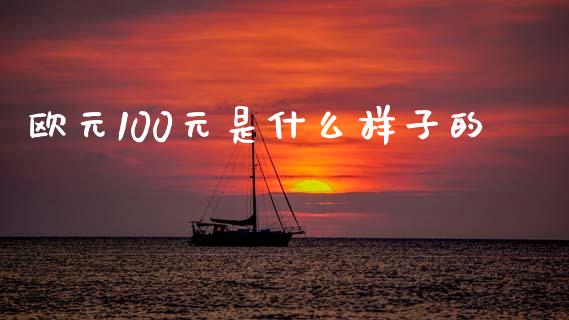 欧元100元是什么样子的_https://wap.lcpcjs.com_股港行情_第1张