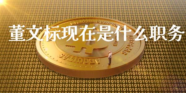 董文标现在是什么职务_https://wap.lcpcjs.com_全球经济_第1张