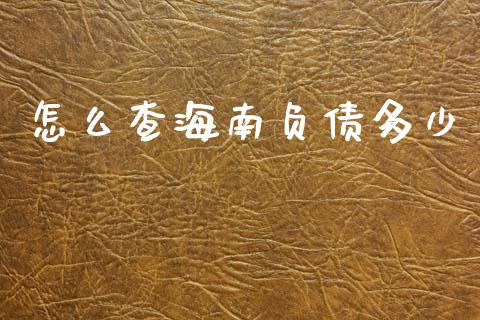 怎么查海南负债多少_https://wap.lcpcjs.com_外汇市场_第1张