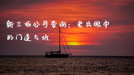 新三板公司查询：老兵眼中的门道与坑_https://wap.lcpcjs.com_股港行情_第1张