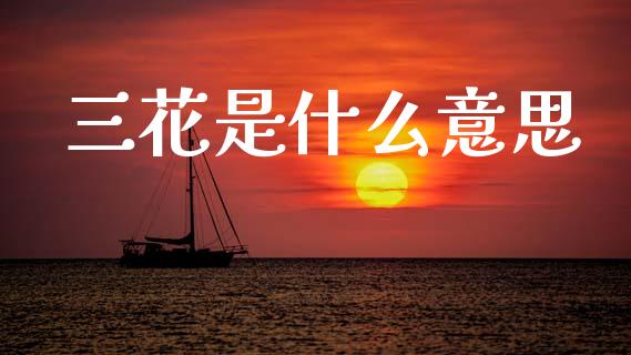 三花是什么意思_https://wap.lcpcjs.com_美股行情_第1张