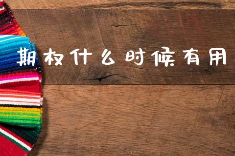 期权什么时候有用_https://wap.lcpcjs.com_美股行情_第1张