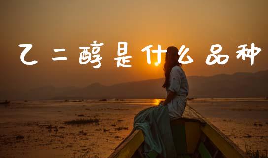 乙二醇是什么品种_https://wap.lcpcjs.com_外汇市场_第1张