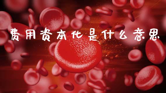 费用资本化是什么意思_https://wap.lcpcjs.com_外汇市场_第1张