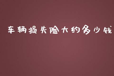 车辆损失险大约多少钱_https://wap.lcpcjs.com_外汇市场_第1张