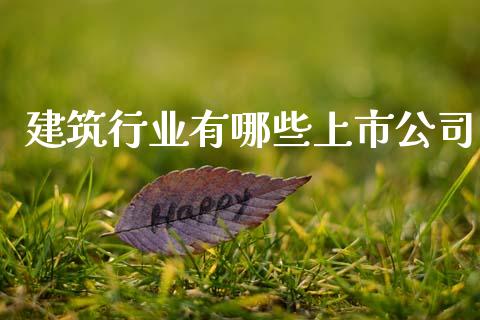 建筑行业有哪些上市公司_https://wap.lcpcjs.com_美股行情_第1张
