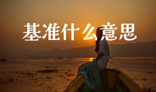 基准什么意思_https://wap.lcpcjs.com_外汇市场_第1张