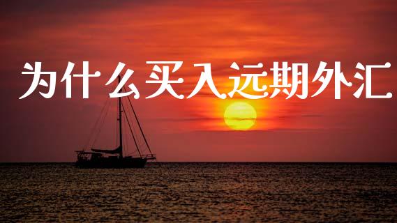为什么买入远期外汇_https://wap.lcpcjs.com_外汇市场_第1张