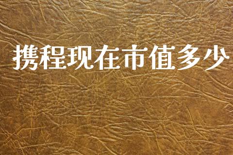 携程现在市值多少_https://wap.lcpcjs.com_美股行情_第1张