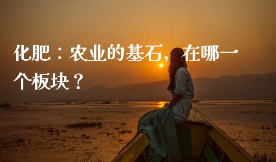 化肥：农业的基石，在哪一个板块？_https://wap.lcpcjs.com_全球经济_第1张