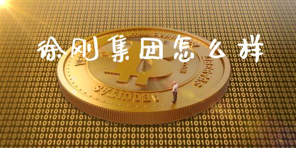 徐刚集团怎么样_https://wap.lcpcjs.com_股港行情_第1张
