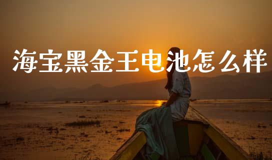 海宝黑金王电池怎么样_https://wap.lcpcjs.com_股港行情_第1张