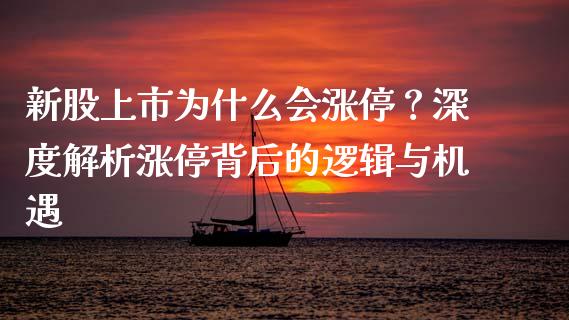 新股上市为什么会涨停？深度解析涨停背后的逻辑与机遇_https://wap.lcpcjs.com_外汇市场_第1张