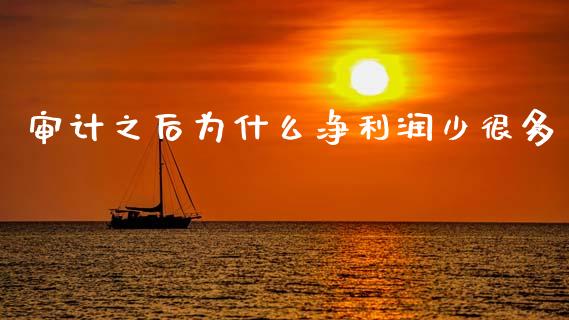 审计之后为什么净利润少很多_https://wap.lcpcjs.com_股港行情_第1张