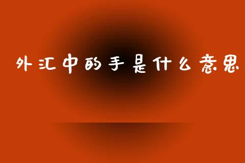 外汇中的手是什么意思_https://wap.lcpcjs.com_外汇市场_第1张