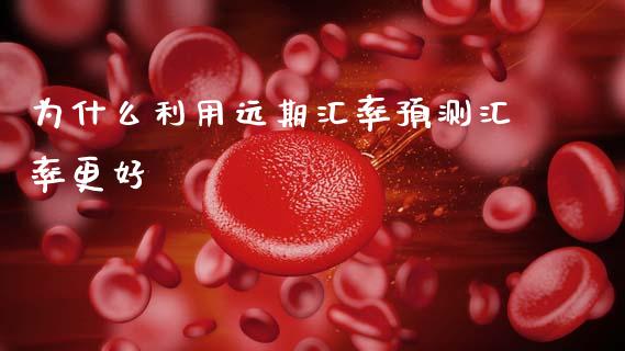 为什么利用远期汇率预测汇率更好_https://wap.lcpcjs.com_外汇市场_第1张