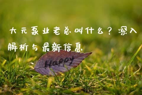大元泵业老总叫什么？深入解析与最新信息_https://wap.lcpcjs.com_美股行情_第1张
