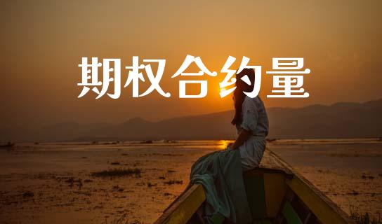 期权合约量_https://wap.lcpcjs.com_全球经济_第1张