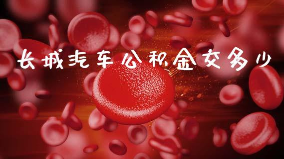 长城汽车公积金交多少_https://wap.lcpcjs.com_全球经济_第1张