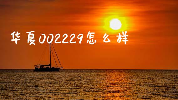 华夏002229怎么样_https://wap.lcpcjs.com_美股行情_第1张