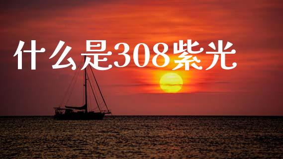 什么是308紫光_https://wap.lcpcjs.com_股港行情_第1张