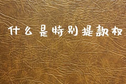 什么是特别提款权_https://wap.lcpcjs.com_全球经济_第1张
