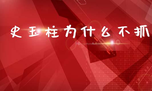 史玉柱为什么不抓_https://wap.lcpcjs.com_全球经济_第1张