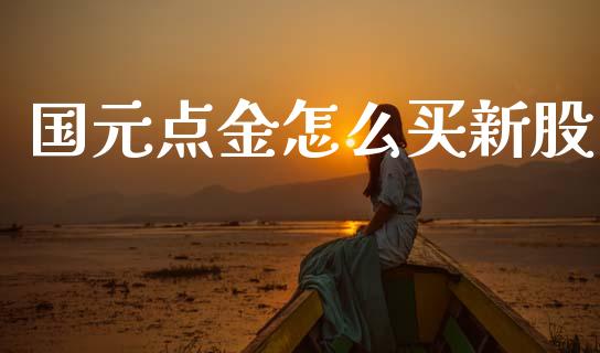 国元点金怎么买新股_https://wap.lcpcjs.com_股港行情_第1张