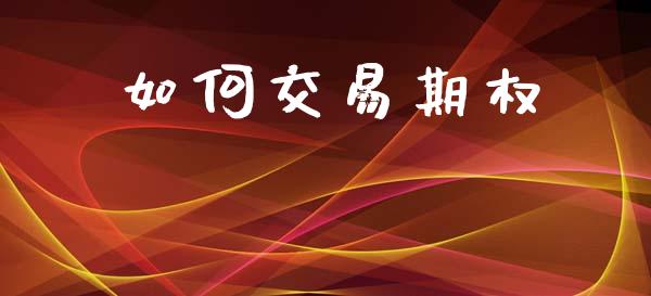 如何交易期权_https://wap.lcpcjs.com_外汇市场_第1张
