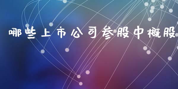 哪些上市公司参股中概股_https://wap.lcpcjs.com_外汇市场_第1张
