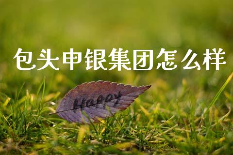 包头申银集团怎么样_https://wap.lcpcjs.com_外汇市场_第1张