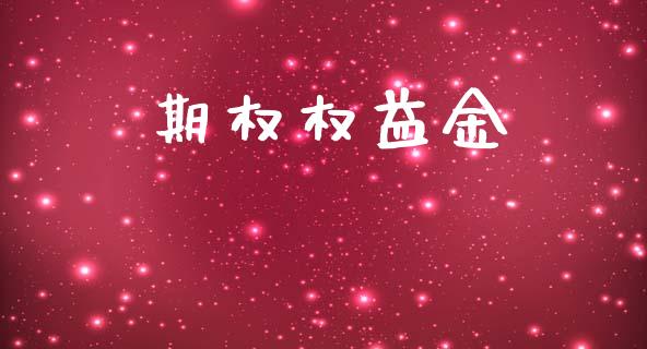 期权权益金_https://wap.lcpcjs.com_股港行情_第1张