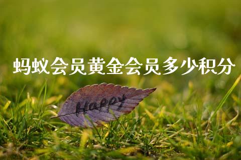 蚂蚁会员黄金会员多少积分_https://wap.lcpcjs.com_全球经济_第1张