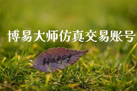 博易大师仿真交易账号_https://wap.lcpcjs.com_外汇市场_第1张