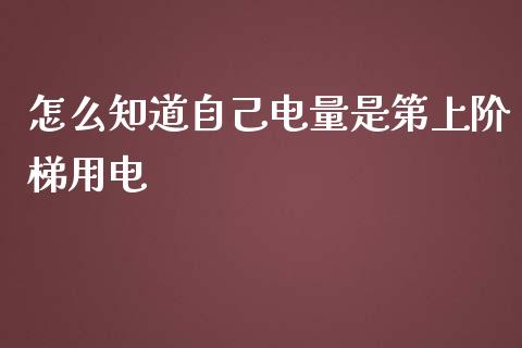 怎么知道自己电量是第上阶梯用电_https://wap.lcpcjs.com_外汇市场_第1张
