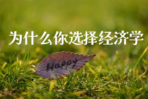 为什么你选择经济学_https://wap.lcpcjs.com_美股行情_第1张