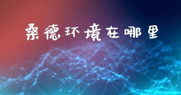 桑德环境在哪里_https://wap.lcpcjs.com_全球经济_第1张