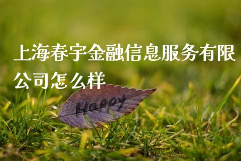 上海春宇金融信息服务有限公司怎么样_https://wap.lcpcjs.com_全球经济_第1张