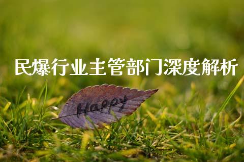 民爆行业主管部门深度解析_https://wap.lcpcjs.com_全球经济_第1张