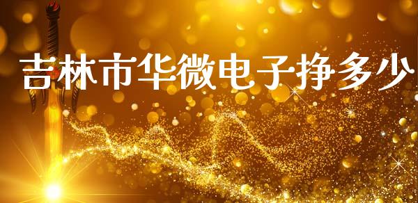 吉林市华微电子挣多少_https://wap.lcpcjs.com_美股行情_第1张