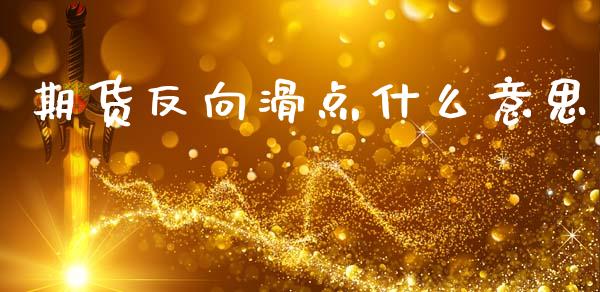 期货反向滑点什么意思_https://wap.lcpcjs.com_全球经济_第1张