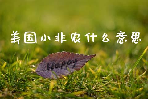 美国小非农什么意思_https://wap.lcpcjs.com_外汇市场_第1张